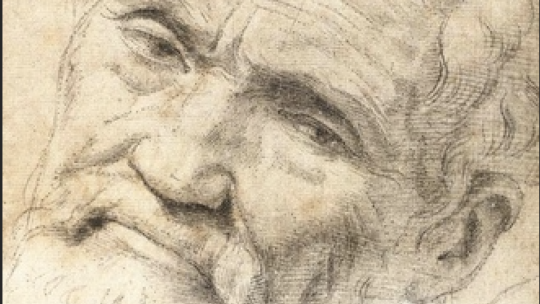 Rileggere Michelangelo. Tracce del Buonarroti nella teoria architettonica del Novecento (prima parte) – di Luca Morganti